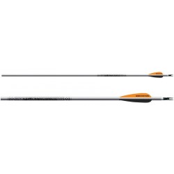 Стрелы Easton ALUMINUM PLATINUM PLUS 1816 DIAMOND VANES 235/BULLET POINT 29" 6 шт.